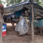 Fazenda no Pantanal pode ser expropriada após novos flagrantes de trabalho escravo