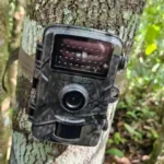 Câmeras são instaladas no Pantanal após ataque fatal de onça-pintada
