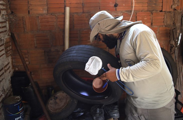 MS reduz casos de dengue em 2025, mas Chikungunya avança com aumento expressivo