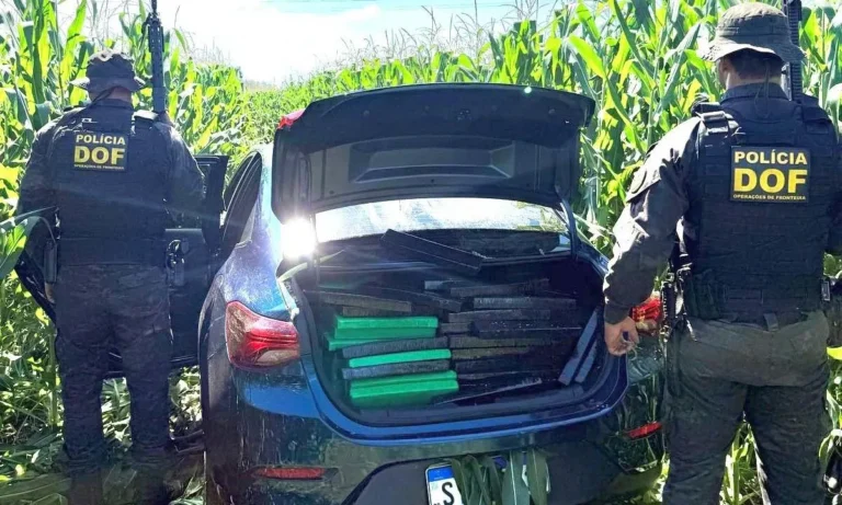 DOF apreendeu mais de 500 quilos de entorpecentes