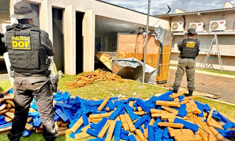 DOF apreende carregamento de maconha na BR-163