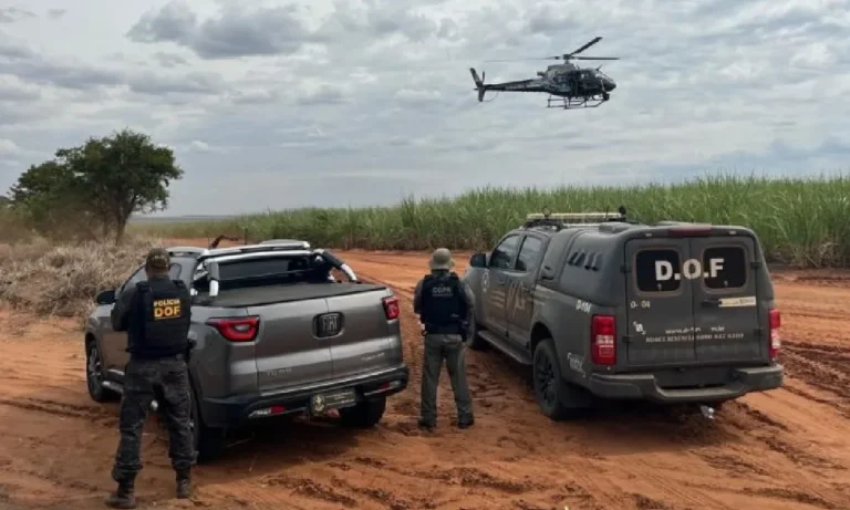 Apreensões de drogas em MS cresce 150%