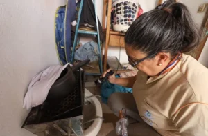 Leia mais sobre o artigo Boletim Epidemiológico: MS registra 2.445 casos confirmados de dengue