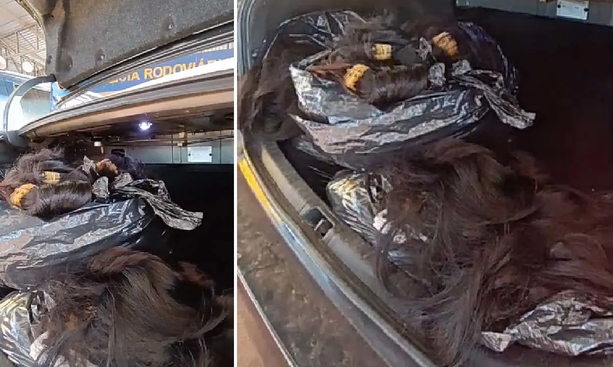 cabelo humano