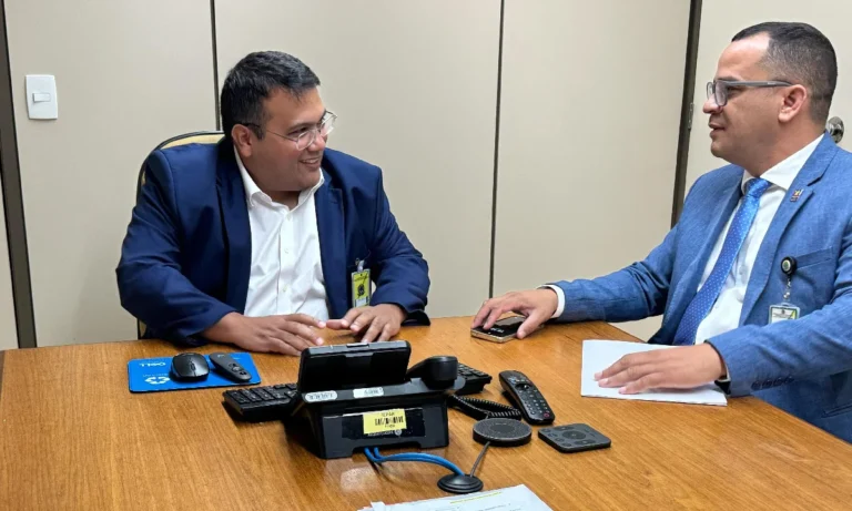 dr. gabriel apresentou projeto em brasília para energia no pantanal