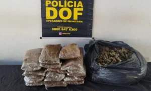 Leia mais sobre o artigo Mulher é presa pelo DOF com quase 10 KG de Skunk na BR-262 em Corumbá