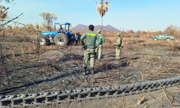 Suspensão da atividade pecuária no pantanal após queimadas