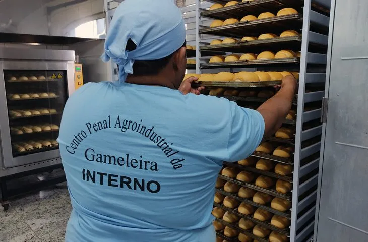 No momento, você está visualizando Padaria da Liberdade amplia produção e chega a 1 milhão de pães doados em Campo Grande