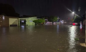 Leia mais sobre o artigo Chuva forte provoca alagamentos e soma mais de 60 mm em Corumbá