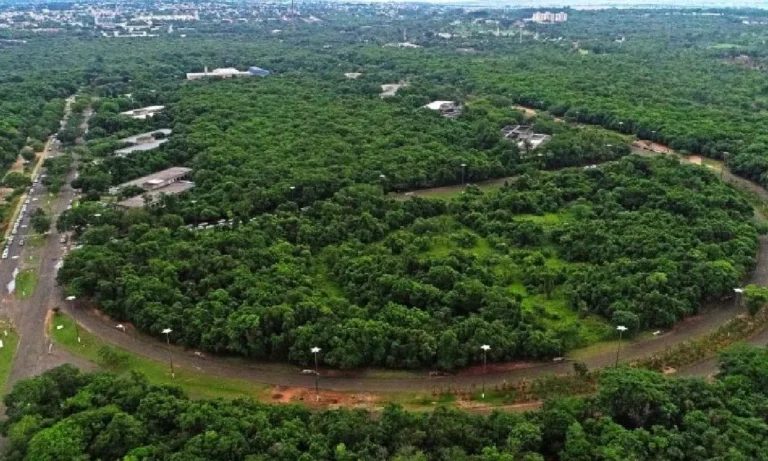 MP recomenda suspensão de licenças para prédios no entorno do Parque do Prosa