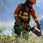 Parque do Pantanal recebe queima controlada para prevenir incêndios em 2025