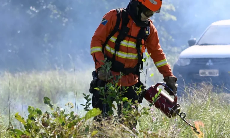 queima controlada no pantanal
