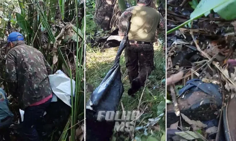 onça ataca equipe