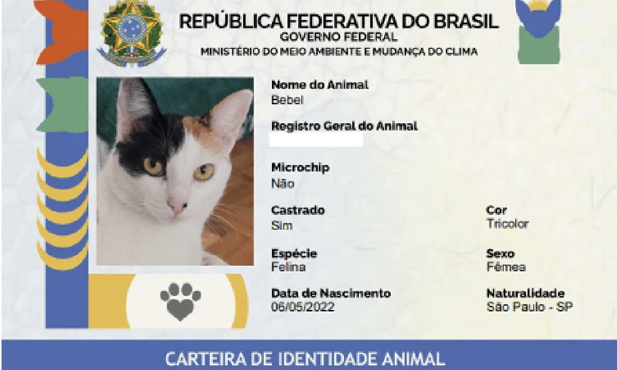 Folha MS - Notícias de Corumbá, Ladário e todo Estado de Mato Grosso do Sul 24 RG Animal