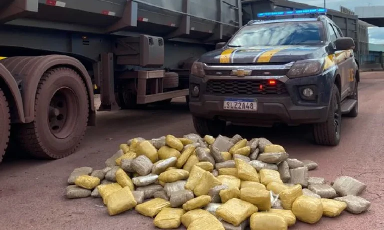 carga de skunk apreendida com caminhoneiro em Corumbá