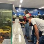Turismo científico no Bioparque alia experiência profissional e aprendizado