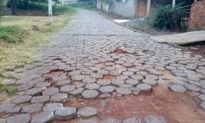 Leia mais sobre o artigo Vereador solicita reparo de lajotas e limpeza urbana em bairros de Corumbá
