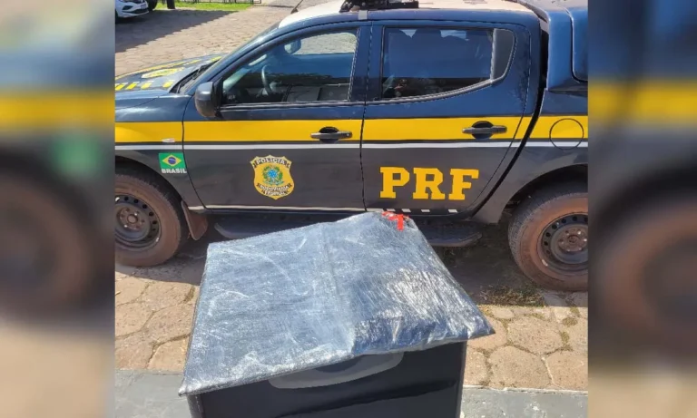 fiscalização na br-262