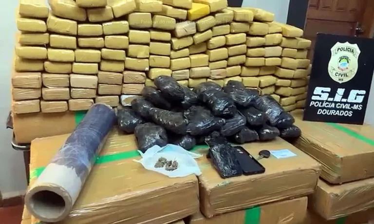 Polícia Civil de Dourados desarticula célula do PCC e apreende 589 kg de maconha