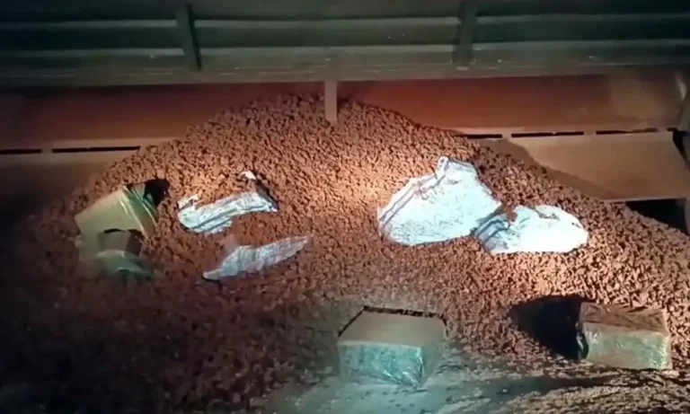 PRF apreende carregamento de drogas escondido em carga de minério