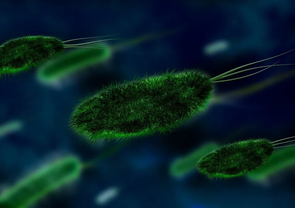 bacteria 1 celulares