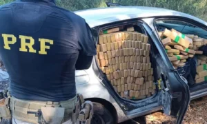 Leia mais sobre o artigo Motorista abandona carro com 991 kg de maconha após perseguição na BR-060