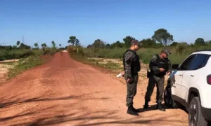 Leia mais sobre o artigo PMA realiza operação contra ceva de animais silvestres no Pantanal