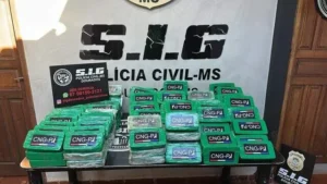 Leia mais sobre o artigo Hamburgueria vira entreposto de droga em Dourados e dono é preso com 150 kg de pasta-base