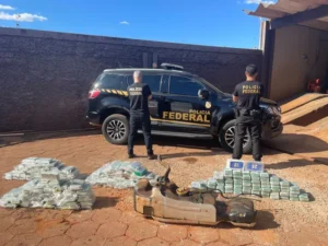 Leia mais sobre o artigo Polícia Federal apreende 217 kg de cocaína em operação na BR-060