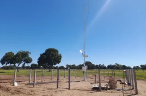 Leia mais sobre o artigo Frente fria derruba temperaturas e termômetros marcam 2.6°C no Pantanal de MS