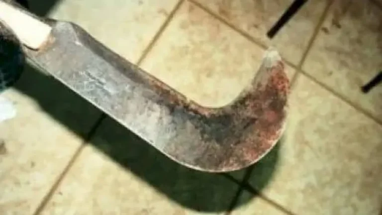 conselheira tutelar foi agredida com golpe de foice em Bela Vista