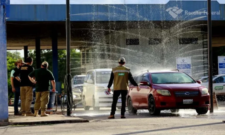 combate a gripe aviária