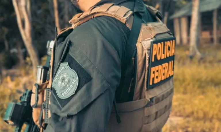 grilagem no pantanal envolvia servidores da agraer