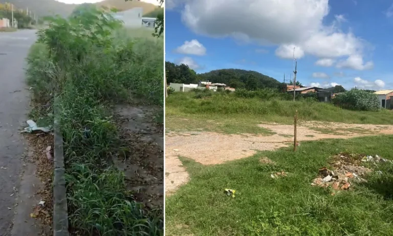 limpeza de ruas próximas a escolas