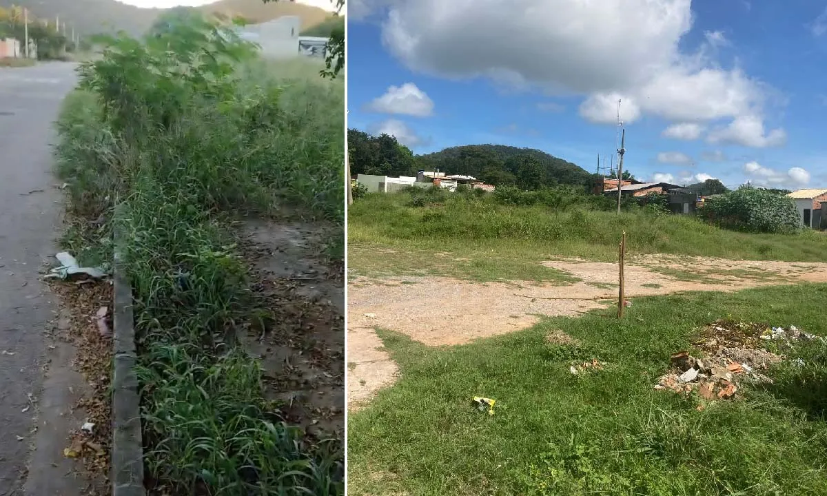 Folha MS - Notícias de Corumbá, Ladário e todo Estado de Mato Grosso do Sul 8 limpeza de ruas próximas a escolas