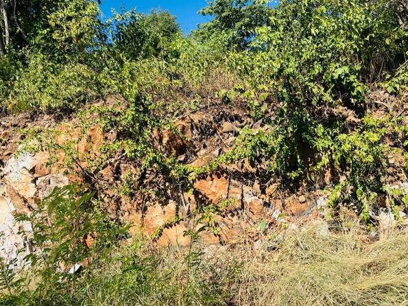 Vereadora solicita obras para contenção de encosta no Cristo Redentor 3 normal IMG 20250526 WA0150