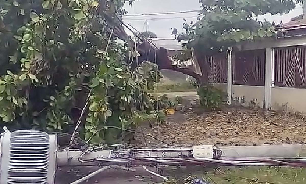 Leia mais sobre o artigo Bairros de Corumbá enfrentam apagão após ventos fortes e chuva intensa | vídeo