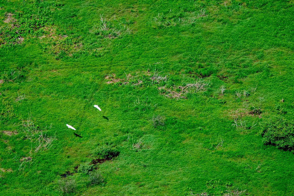 No momento, você está visualizando Semana do meio ambiente abre inscrições para simpósio de economia circular no Pantanal