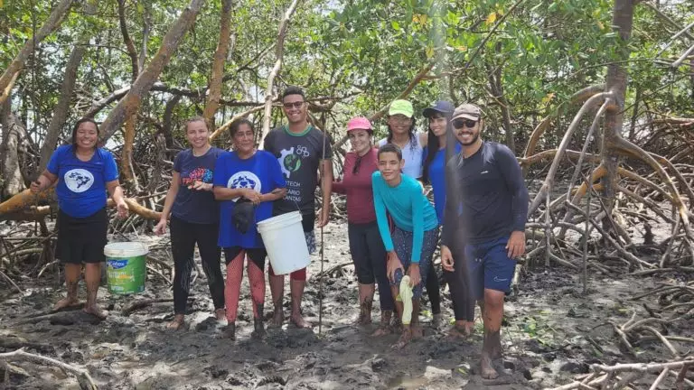Seis projetos escolares que conectam educação e meio ambiente vencem prêmio nacional 5 Ecotech 3 768x432 1