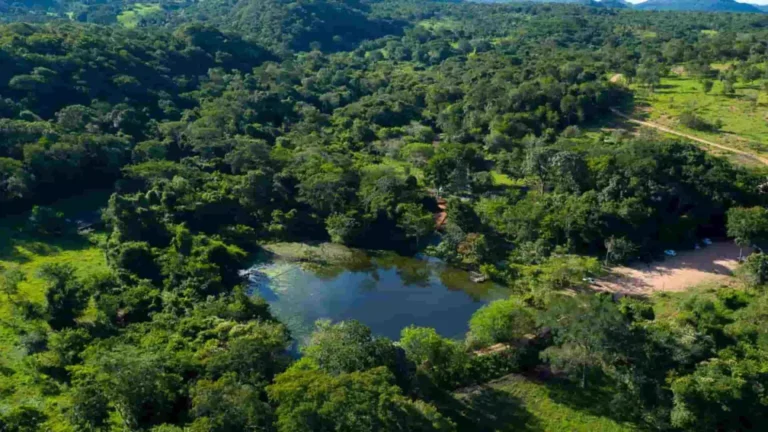 Adolescente morre afogado durante passeio escolar em Bonito