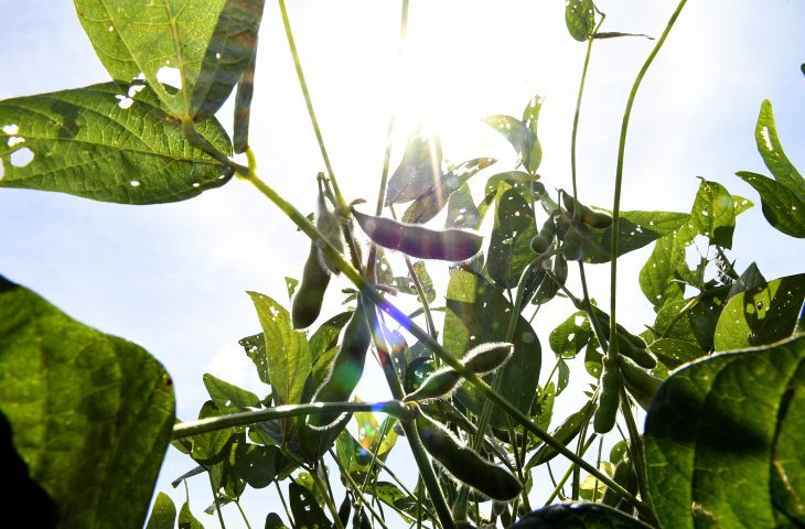 MS terá rede meteorológica com 70 estações e fortalece monitoramento climático