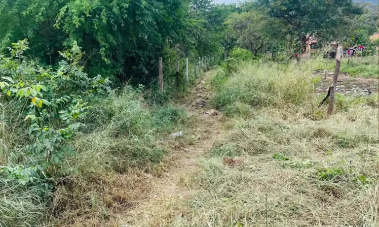 melhorias na infraestrutura do Jardim dos Estados