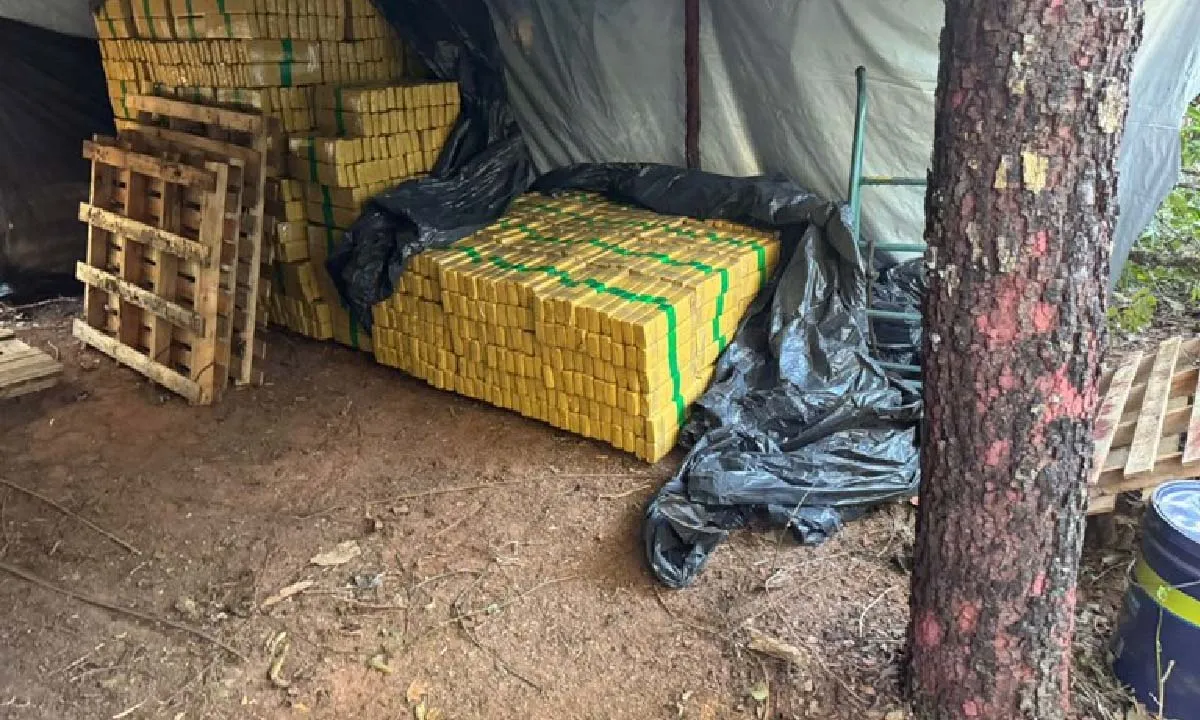 Folha MS - Notícias de Corumbá, Ladário e todo Estado de Mato Grosso do Sul 22 Acampamento servia como depósito de drogas