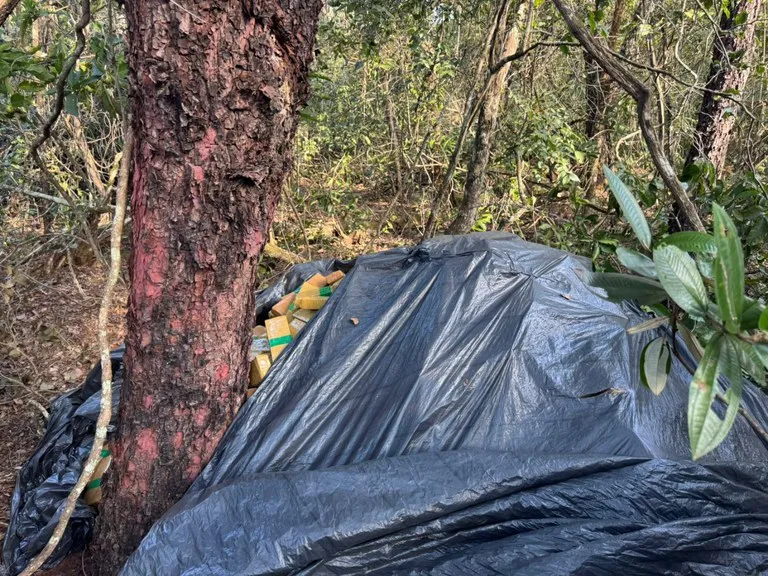 Acampamento com mais de 8 toneladas de maconha é descoberto em mata a 80 km de Campo Grande 2 acampamento drogas2 acampamento