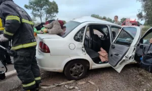 Leia mais sobre o artigo Passageira fica ferida após motorista desviar de animal e colidir com árvore na BR-262