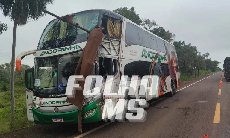 Acidente envolvendo ônibus de passageiros deixa mortos e feridos na BR-262