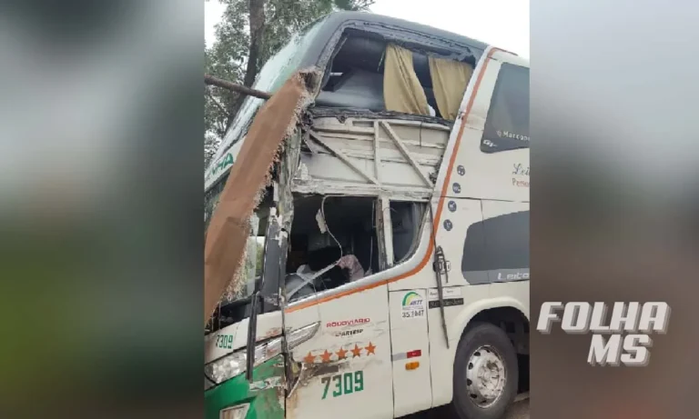 PRF confirma duas mortes em colisão entre ônibus e caminhão na BR-262