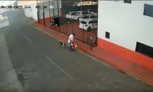 Leia mais sobre o artigo Padrasto é preso após agredir criança de 2 anos em via pública em MS | vídeo