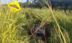 Leia mais sobre o artigo Trabalhador morre após ser atropelado por carro durante serviço na MS-379