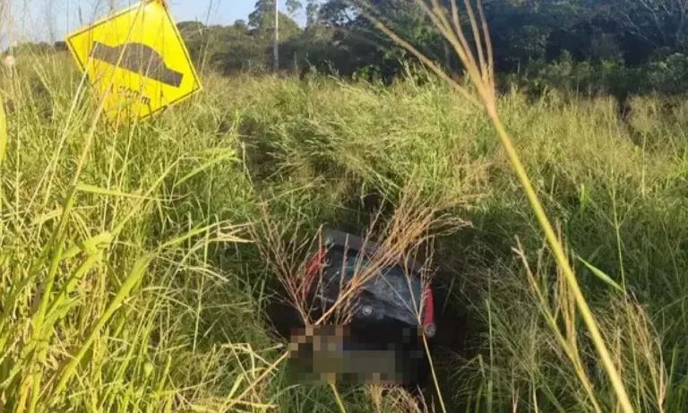 atropelado por carro